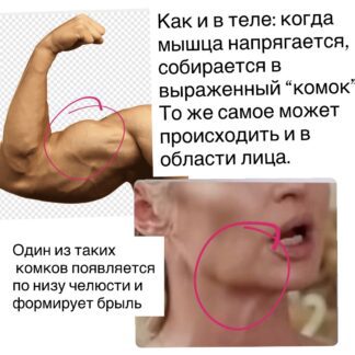Массажная техника «Мастер глубокого релакса»- брыль
