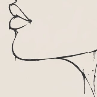 Деформационная брыль